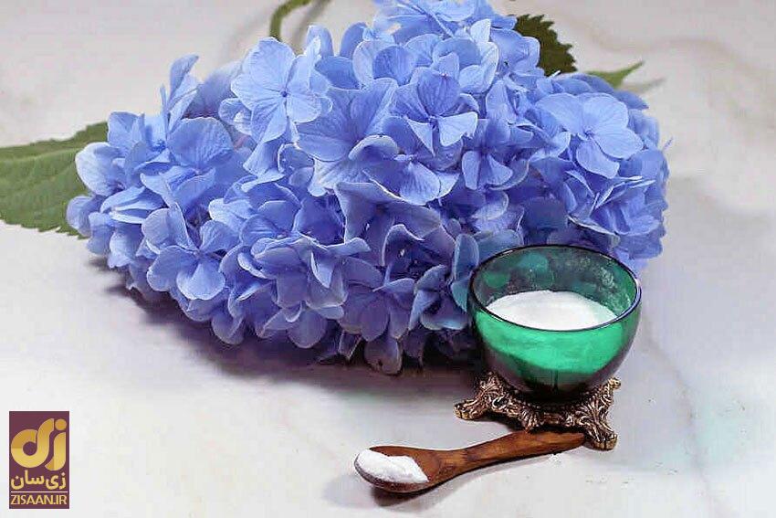 راز نگهداشتن گل طبیعی به مدت طولانی را میدانید؟ راز نگهداشتن گل طبیعی به مدت طولانی را میدانید؟