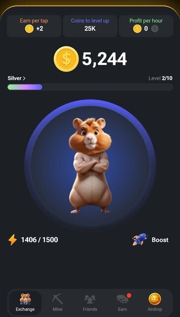 اگر همسترکامبتارز به درآمدزایی نرسد چه می‌شود؟