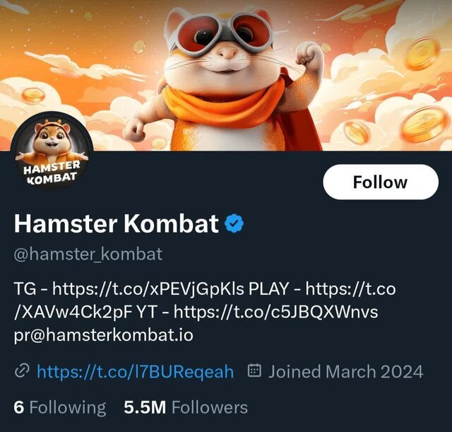 اگر همسترکامبتارز به درآمدزایی نرسد چه می‌شود؟