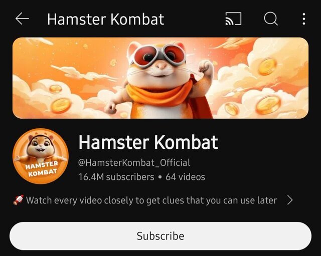 اگر همسترکامبتارز به درآمدزایی نرسد چه می‌شود؟