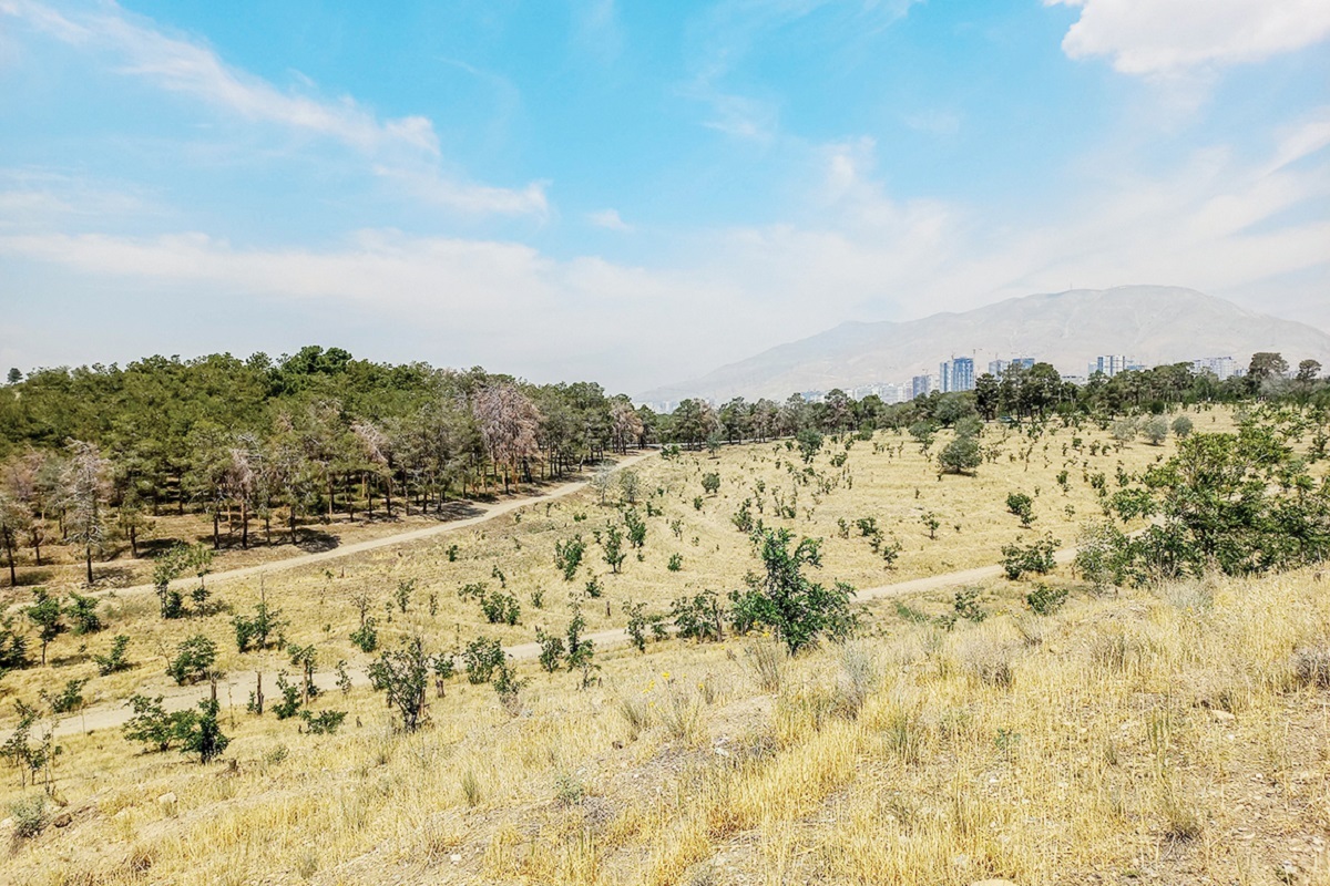 چیتگر خشک شد؟!