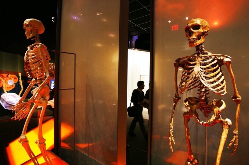 یافته‌های تازه دانشمندان پرده از راز آمیزش جنسی انسان‌ها با نئاندرتال‌ها برداشت