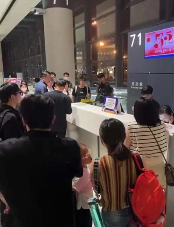 تاخیر در پرواز هواپیما بخاطر این موجود عجیب