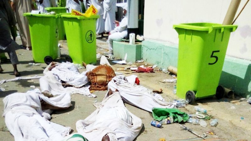 عکس| تصویری دلخراش از اجساد حاجیان