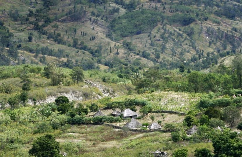 کشف آثار انسان‌های باستانی ۴۴ هزار ساله در در تیمور شرقی