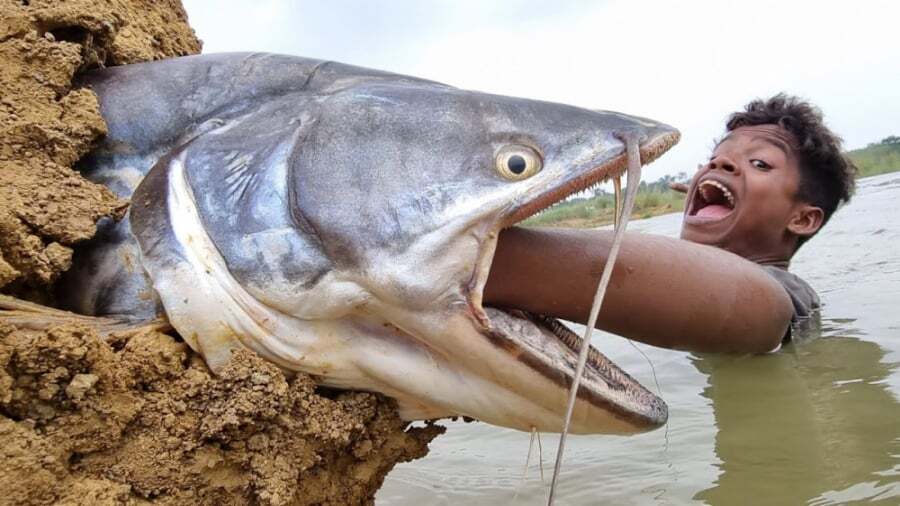 اگر کمبود آهن دارید این ۱۰ ماده غذایی را مصرف کنید