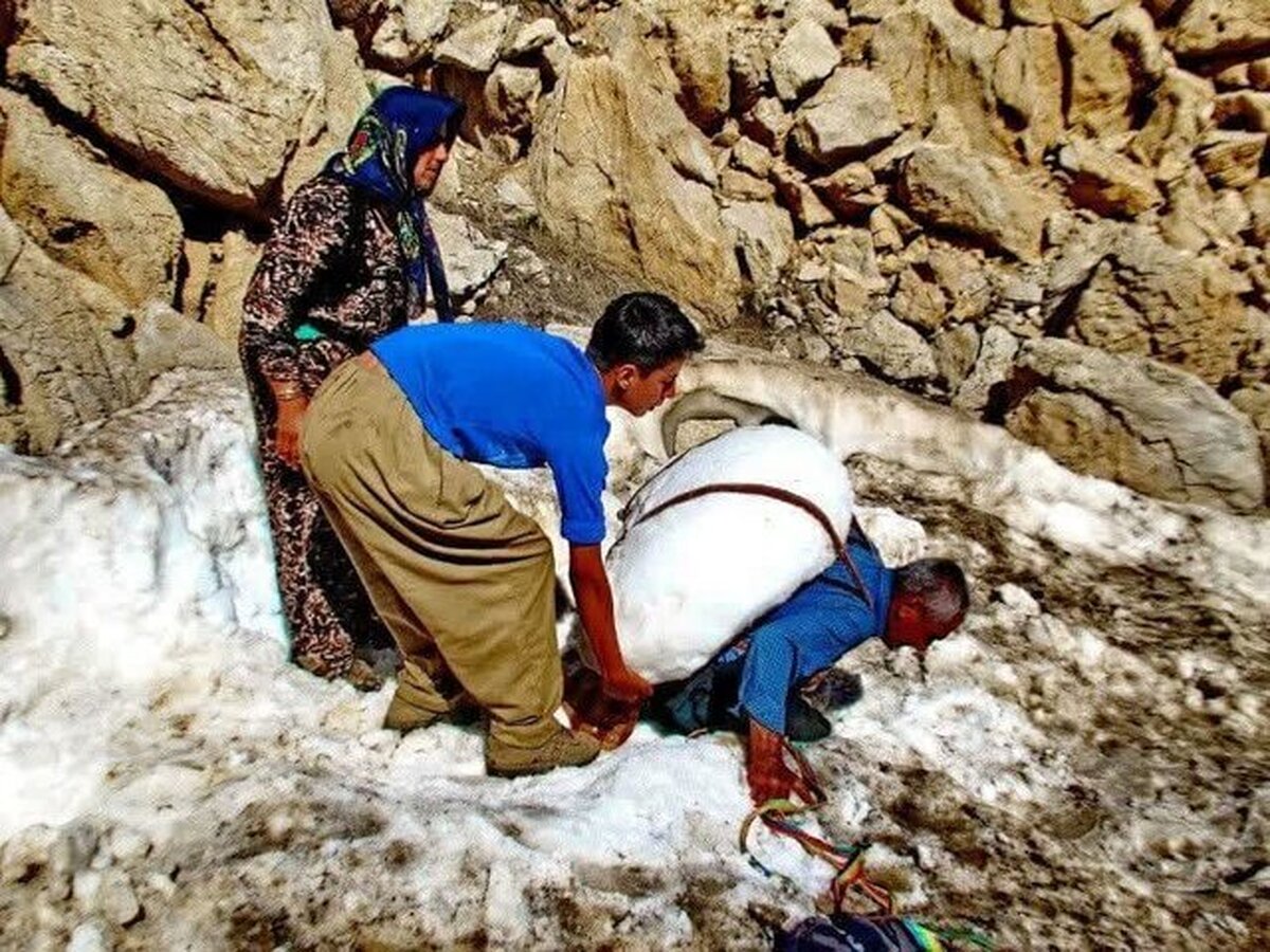 هوارنشینی؛ عجیب‌ترین کوچ‌نشینی جهان در کرمانشاه