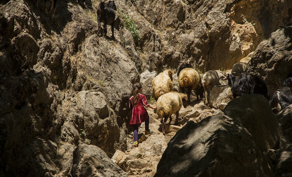 هوارنشینی؛ عجیب‌ترین کوچ‌نشینی جهان در کرمانشاه
