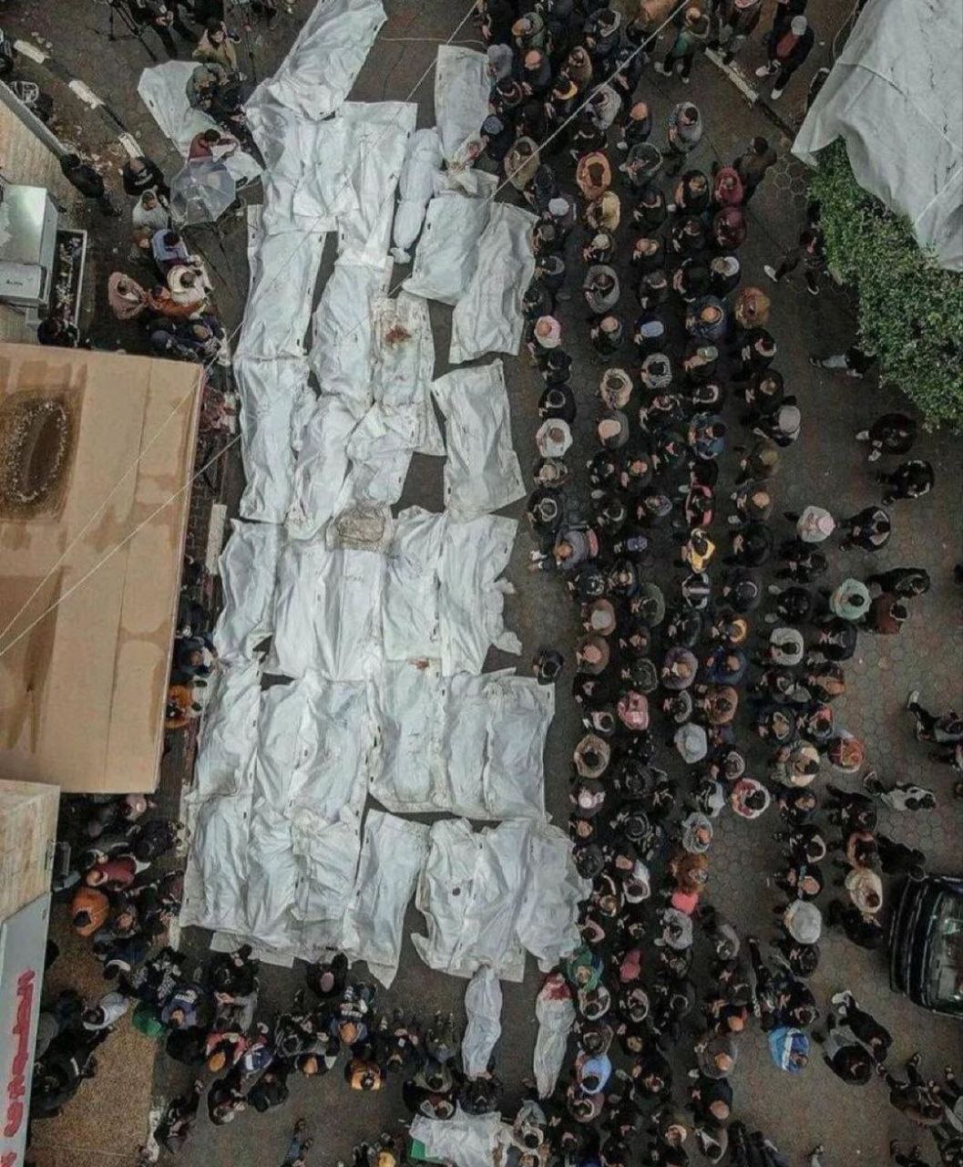 عکس| این تصویر از وقایع چند روز اخیر رفح، وایرال شد