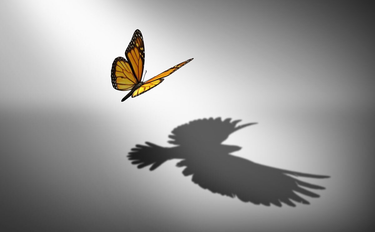 ۱۵ تکنیک شگفت انگیز برای افزایش شانس در زندگی