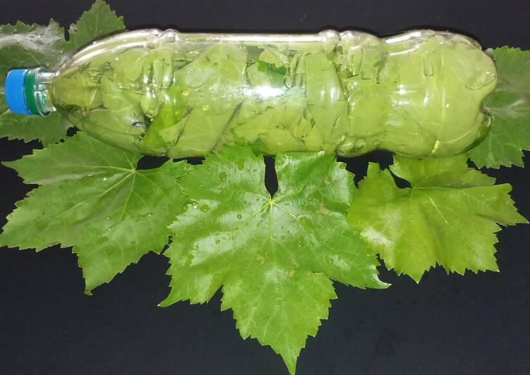 روش‌های نگهداری طولانی مدت برگ مو/ برگ مو رو بدون تغییر رنگ برای زمستون نگه دار