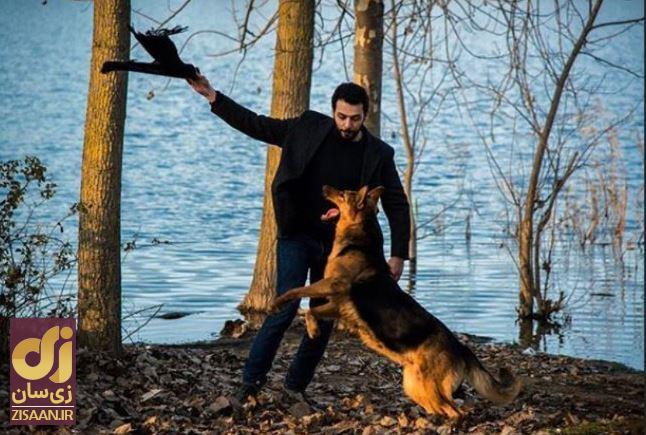 بیوگرافی رضا رقیب عشقی پارسا پیروزفر در سریال انتهای شب؛ پدرام شریفی کیست؟ بیوگرافی رضا رقیب عشقی پارسا پیروزفر در سریال انتهای شب؛ پدرام شریفی کیست؟