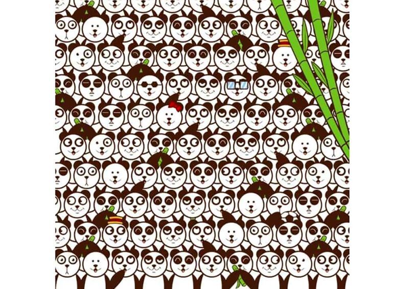 تست هوش / توپ فوتبال را در ۱۳ ثانیه پیدا کنید تست هوش / توپ فوتبال را در ۱۳ ثانیه پیدا کنید