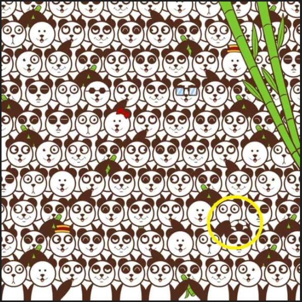 تست هوش / توپ فوتبال را در ۱۳ ثانیه پیدا کنید تست هوش / توپ فوتبال را در ۱۳ ثانیه پیدا کنید