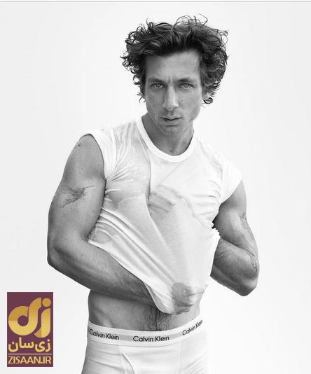 بیوگرافی جذاب ترین آشپز این روزها، جرمی آلن وایت بازیگر سریال خرس کیست؟