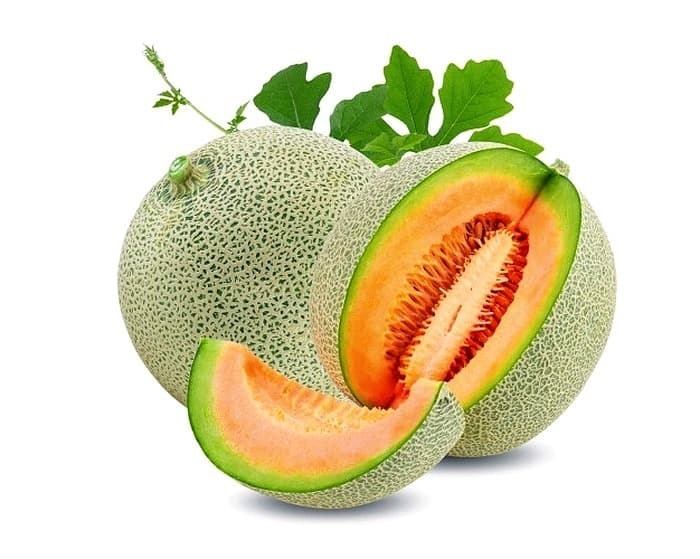 خواص اعجاب‌آور ملون که خوردن روزانه آن را ضروری می‌کند