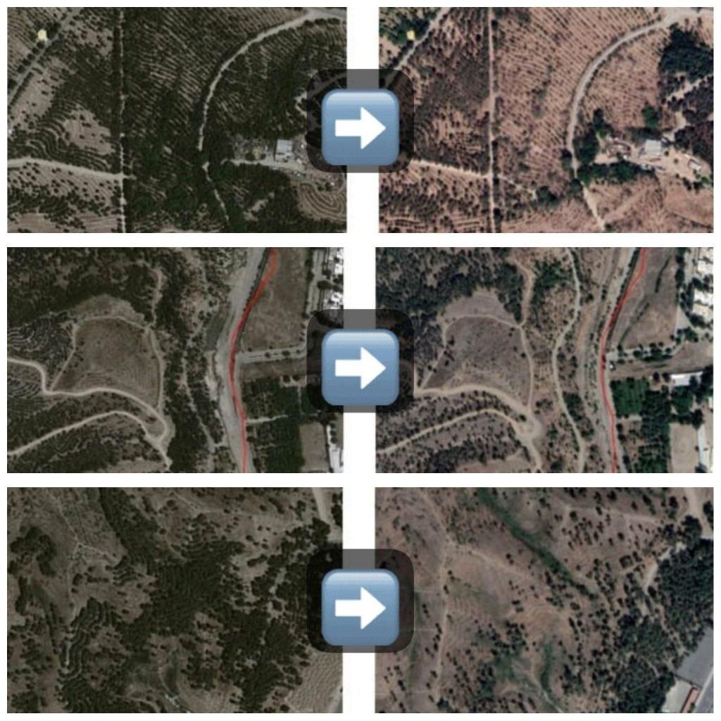 تصویری تکان‌دهنده از پارک چیتگر