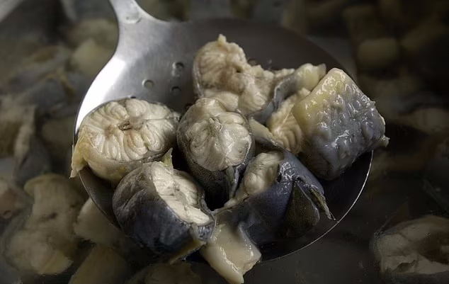 بدترین غذاهای جهان؛ از کوفته خونی فنلاند تا کوسه تخمیرشده ایسلندی بدترین غذاهای جهان؛ از کوفته خونی فنلاند تا کوسه تخمیرشده ایسلندی