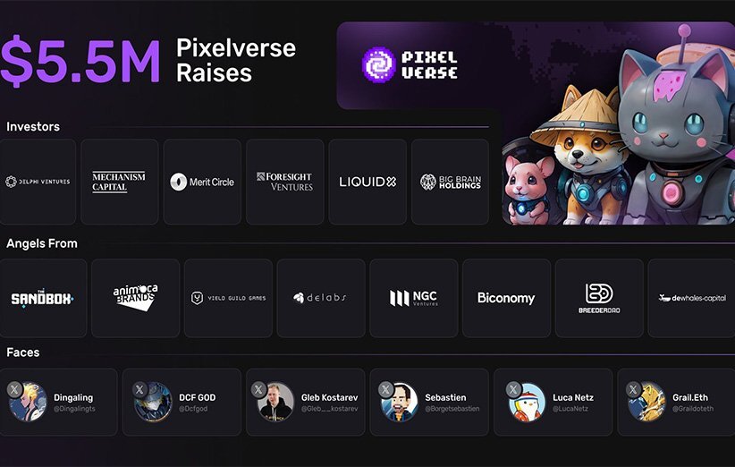 همه چیز درباره بازی پیکسل ورس؛ فراتر از ناتکوین و همستر کامبت! همه چیز درباره بازی پیکسل ورس؛ فراتر از ناتکوین و همستر کامبت!