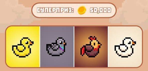 کارت‌های بازی بردتون birdton امروز جمعه ۱۲ مرداد ۱۴۰۳