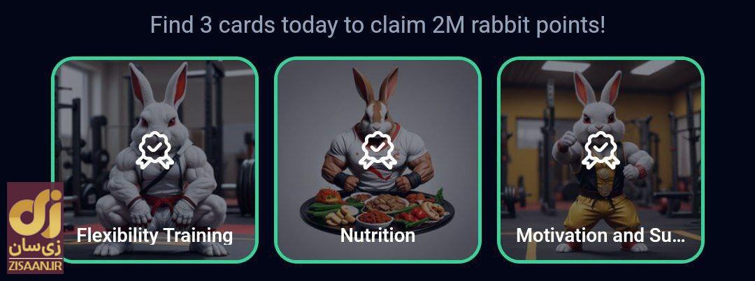 کارت‌های راکی رابیت امروز شنبه ۱۳ مرداد ۱۴۰۳ برای دریافت دو میلیون سکه