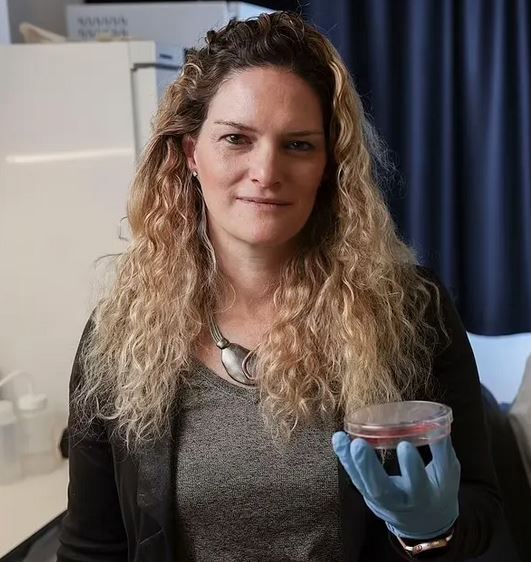 راه حل بحران ناباروری مردان پیدا شد؛ پرورش بیضه در آزمایشگاه برای اولین بار!