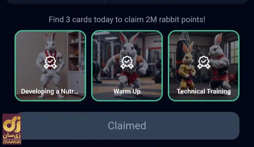 کارت‌های راکی رابیت امروز پنجشنبه ۱۸ مرداد ۱۴۰۳ برای دریافت دو میلیون سکه