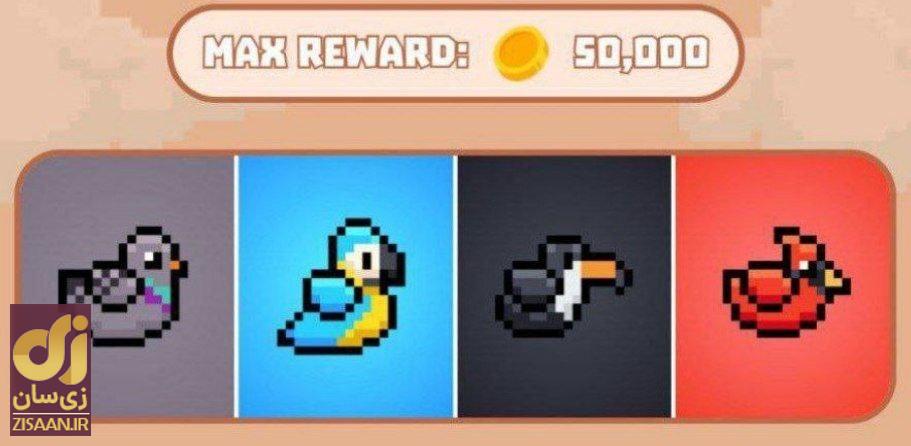 کارت‌های بازی بردتون birdton امروز جمعه ۱۹ مرداد ۱۴۰۳