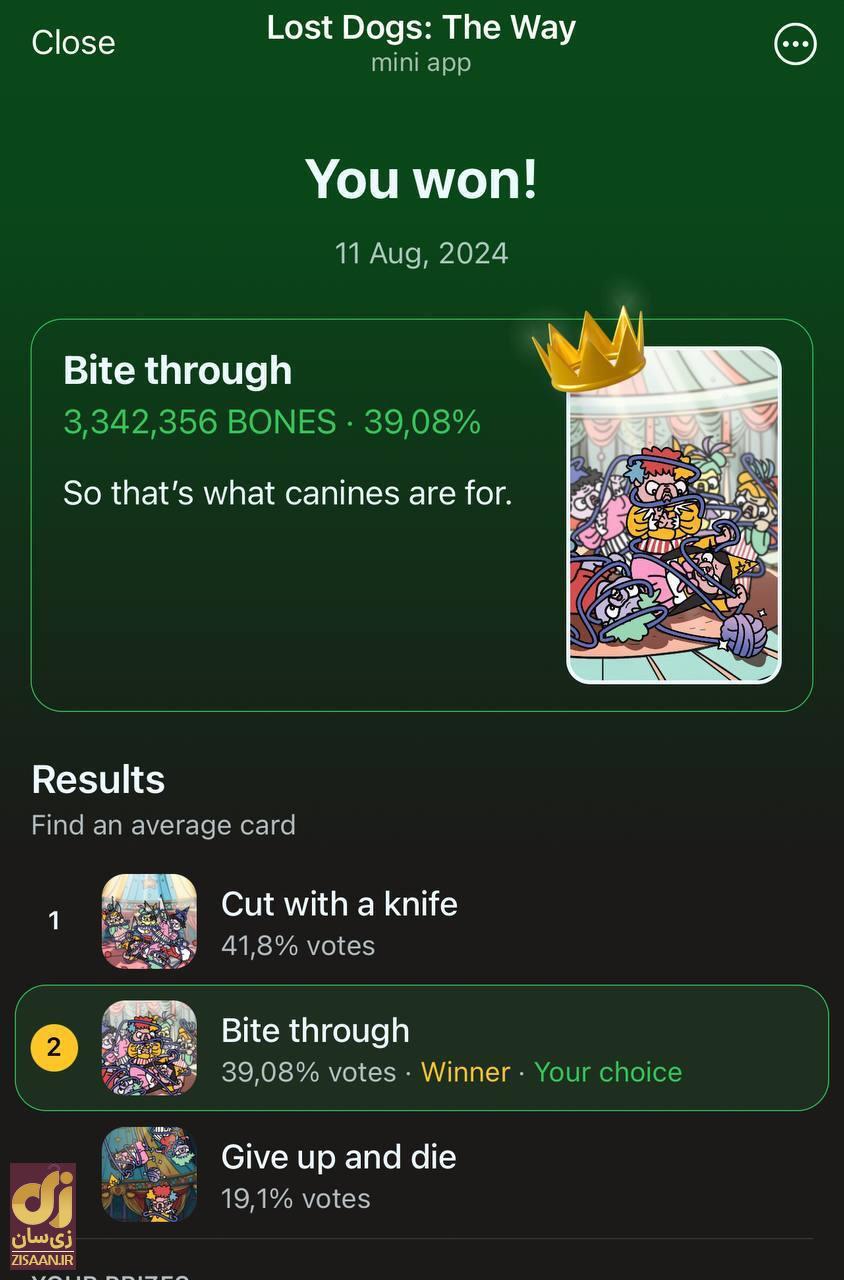 کارت‌های بازی لاست داگز lost dogs امروز دوشنبه ۲۲ مرداد ۱۴۰۳