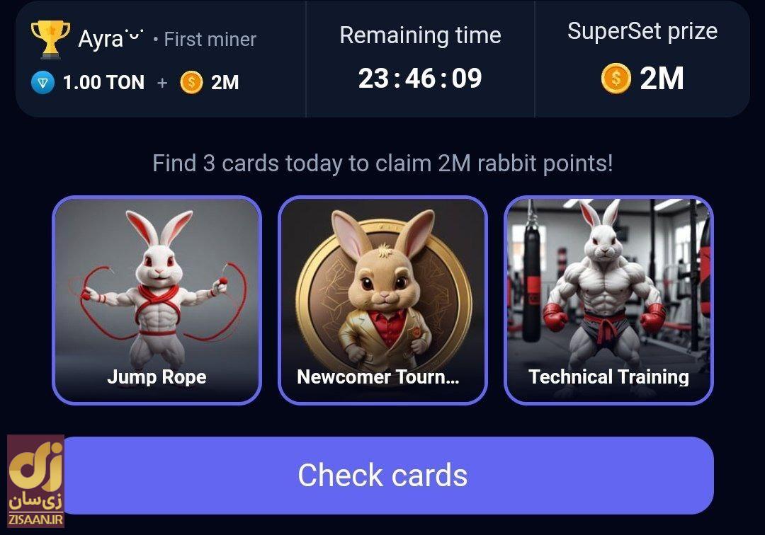 کارت‌های راکی رابیت امروز یک‌شنبه ۲۸ مرداد ۱۴۰۳ برای دریافت دو میلیون سکه