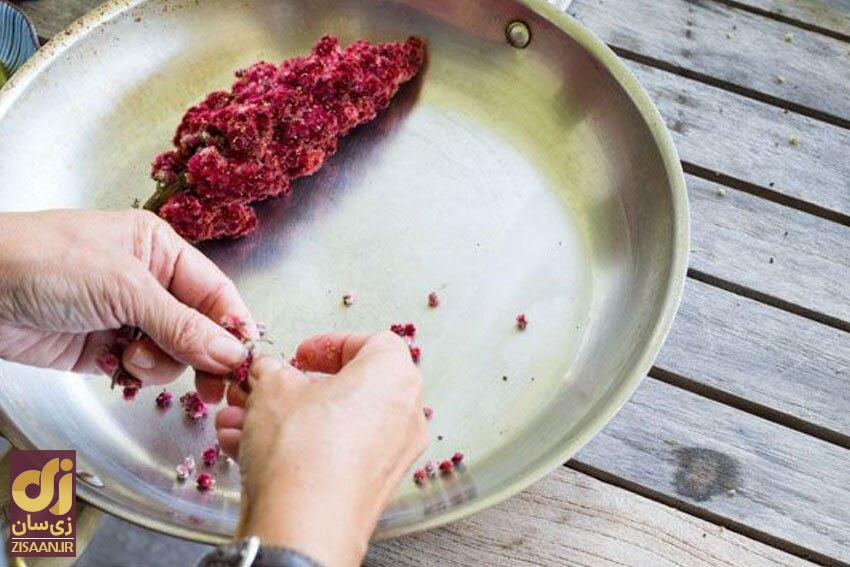 خواص خوردن سماق ناشتا؛ از حفظ سلامت دهان و دندان تا تسکین درد