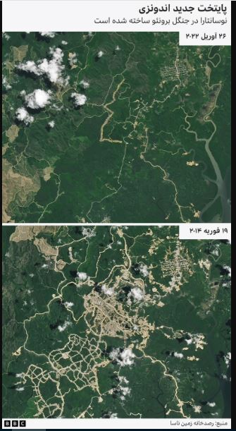 چگونه اندونزی پایتخت خود را به کلان شهری در جنگل منتقل می‌کند؟