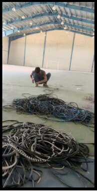 دستگیری مارمولک زیر سقف سالن ورزشی؛ این مرد از دیوار صاف ۷ متری هم بالا می‌رود