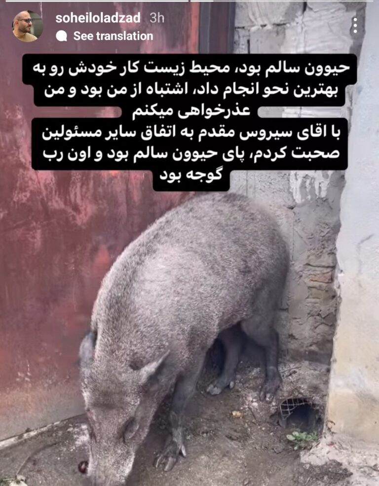 ویدئو| فیلمبرداری «پایتخت ۷» کلید خورد؛ لو رفتن تصاویر آزاردهنده از پشت صحنه