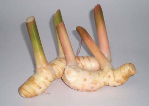 خولنجان چیست؟ بررسی خواص و عوارض + مقدار مصرف