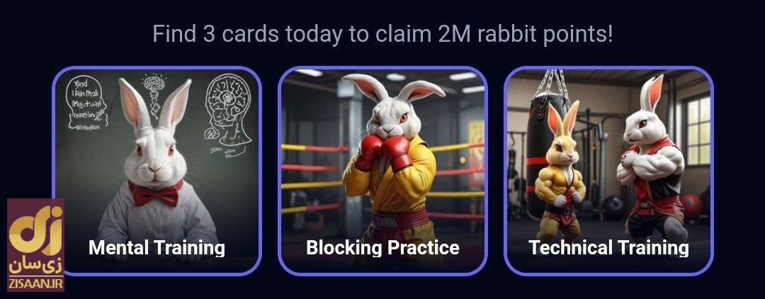 کارت‌های راکی رابیت امروز شنبه ۱۰ شهریور ۱۴۰۳ برای دریافت دو میلیون سکه