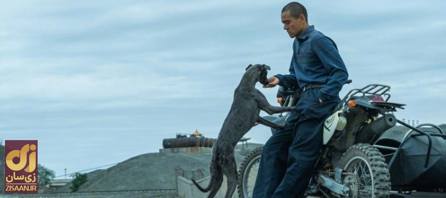فیلم سگ سیاه black dog ۲۰۲۴