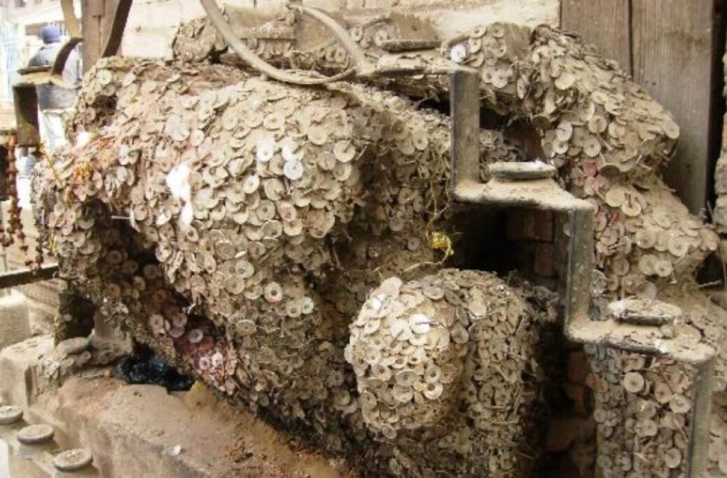 عکس | درختی برای درمان دنداندرد! عکس | درختی برای درمان دنداندرد!