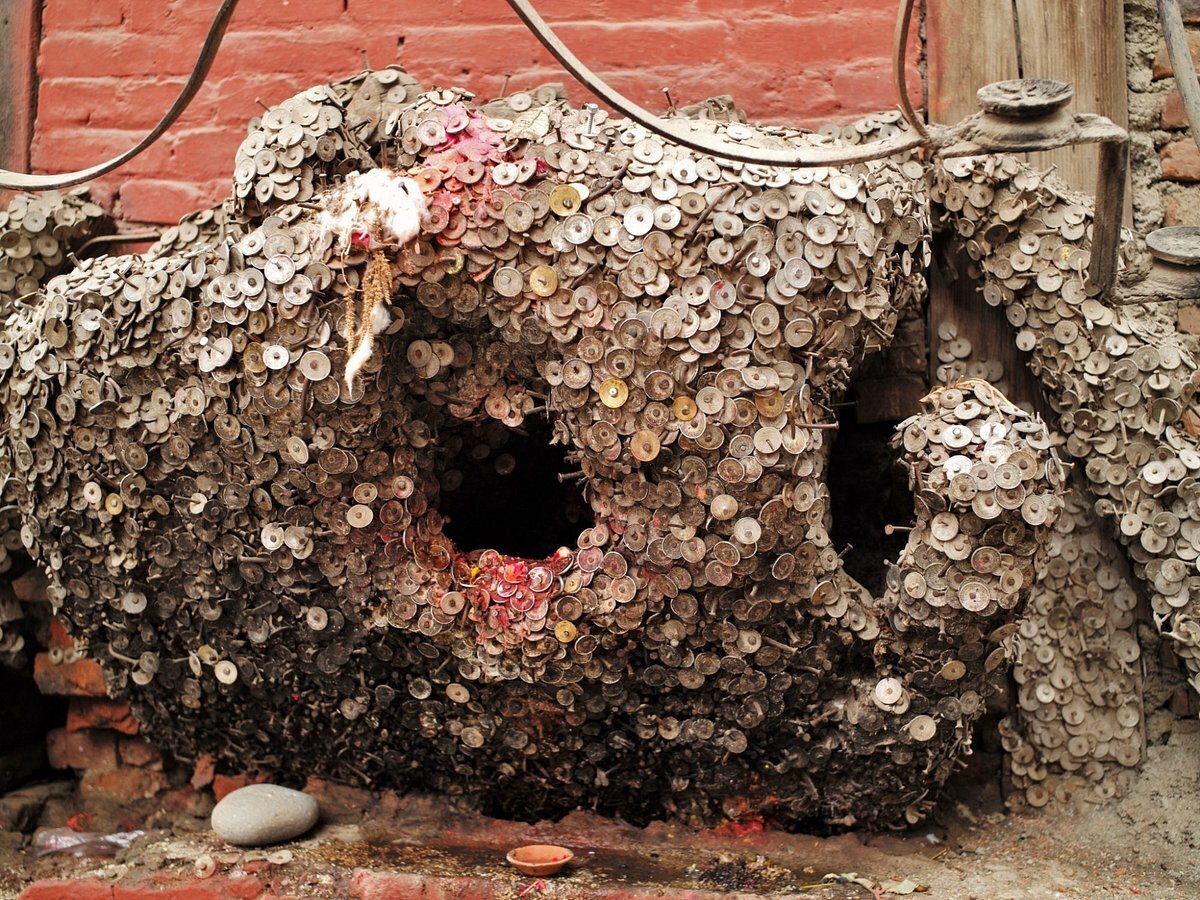 عکس | درختی برای درمان دنداندرد! عکس | درختی برای درمان دنداندرد!