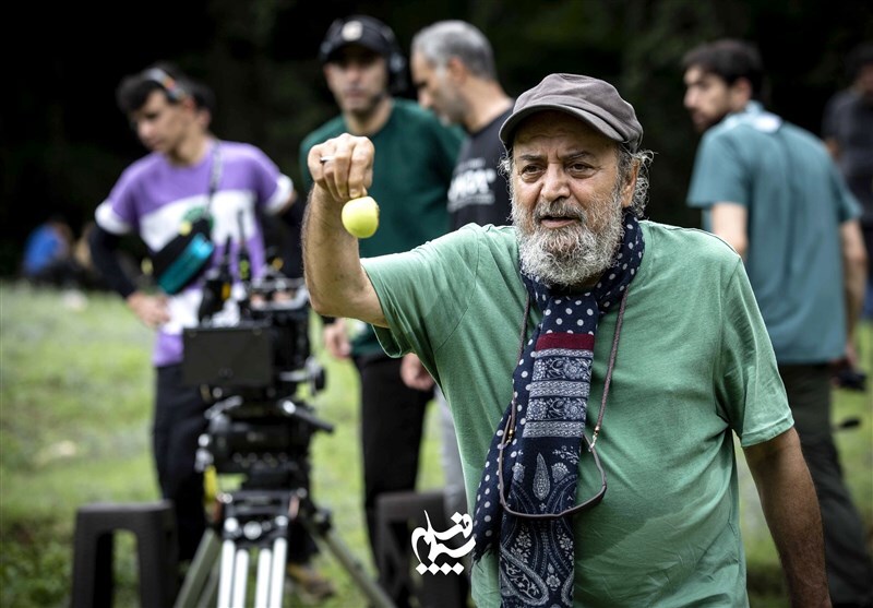 سلفی بازیگران پایتخت ۷ و جزئیات درباره زمان پخش و اسامی بازیگران کارگردان سریال پایتخت ۷ در دل جنگل