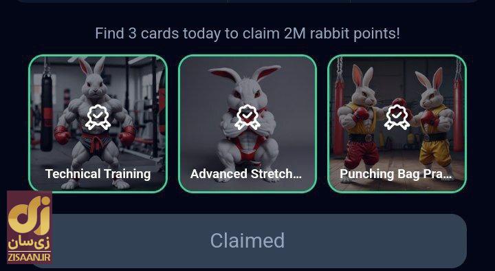 کارت‌های راکی رابیت امروز یک‌شنبه ۲۵ شهریور ۱۴۰۳ برای دریافت دو میلیون سکه