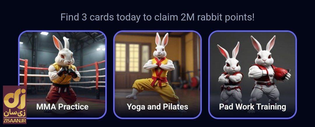 کارت‌های راکی رابیت امروز شنبه ۳ شهریور ۱۴۰۳ برای دریافت دو میلیون سکه