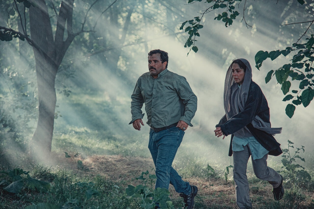 همه‌چیز درباره فیلم در آغوش درخت؛ خلاصه داستان و معرفی کارگردان و بازیگران