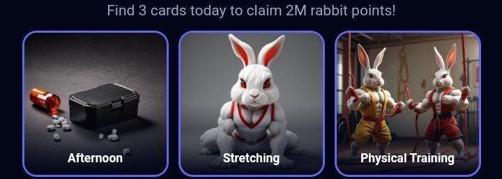 کارت‌های راکی رابیت امروز یکشنبه ۴ شهریور ۱۴۰۳ برای دریافت دو میلیون سکه