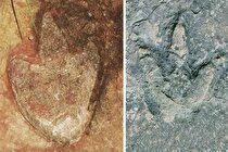 کشف ردپای فسیلی مشابه در دو سوی اقیانوس؛ دایناسور‌ها از طریق یک «بزرگراه باستانی» در ارتباط بوده‌اند