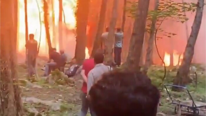 ویدئو| آتش زدن جنگلهای هیرکانی برای ساخت یک فیلم ویدئو| آتش زدن جنگلهای هیرکانی برای ساخت یک فیلم