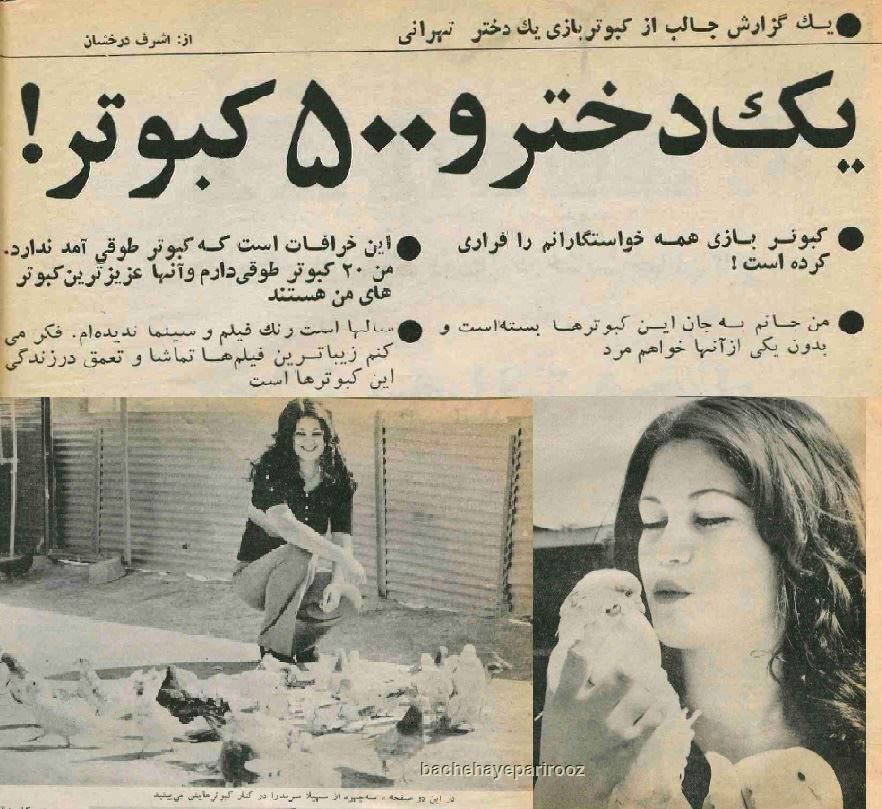 گزارشی جالب از یک دختر کبوترباز تهرانی