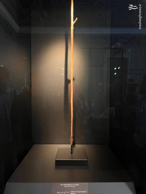 عکس | عصای حضرت موسی در موزه استانبول