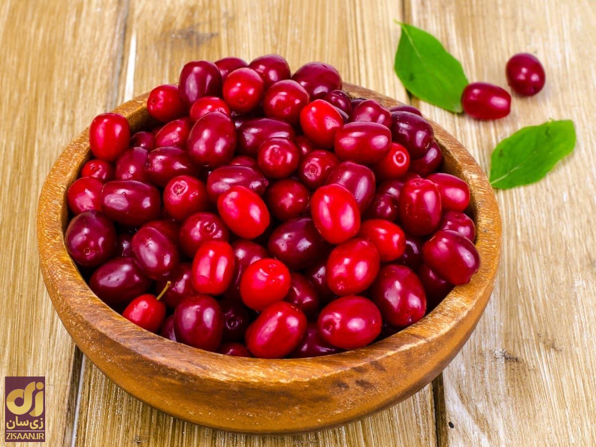 ۵ غذای مغذی پاییزی برای بهبود حافظه و کاهش زوال شناختی