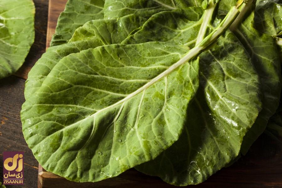 ۵ غذای مغذی پاییزی برای بهبود حافظه و کاهش زوال شناختی